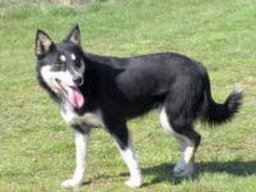 tarka_20211128_1768708134